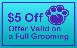 $5 Off - Offer Valid on a Full Grooming